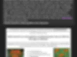 2023 green school app final (3)